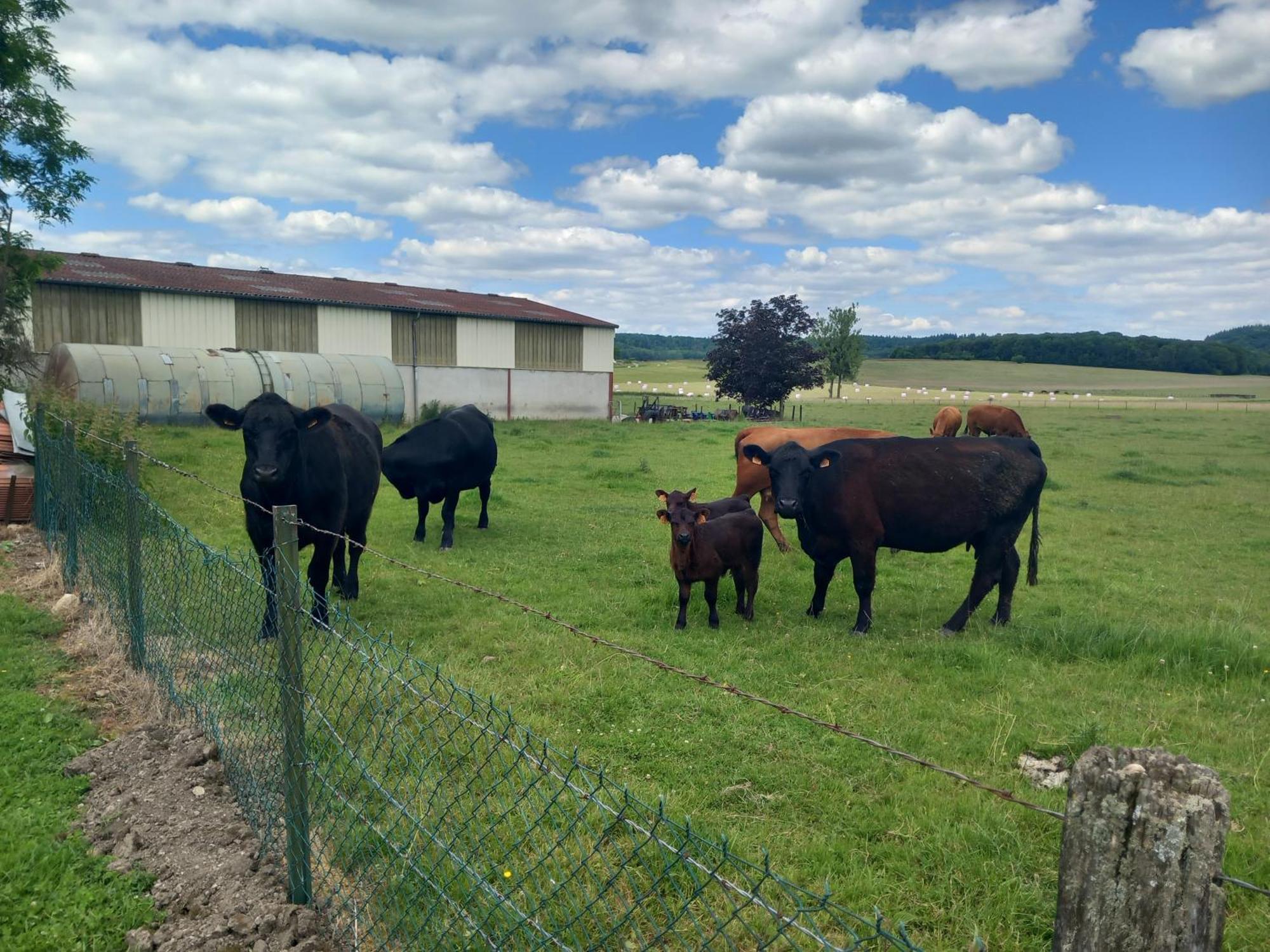 Relais De La Mothe La Suite Vrécourt Buitenkant foto
